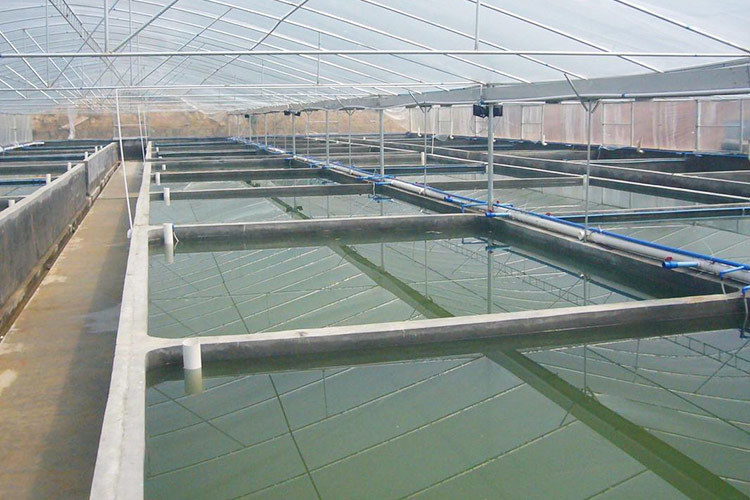 水产养殖行业案例客户